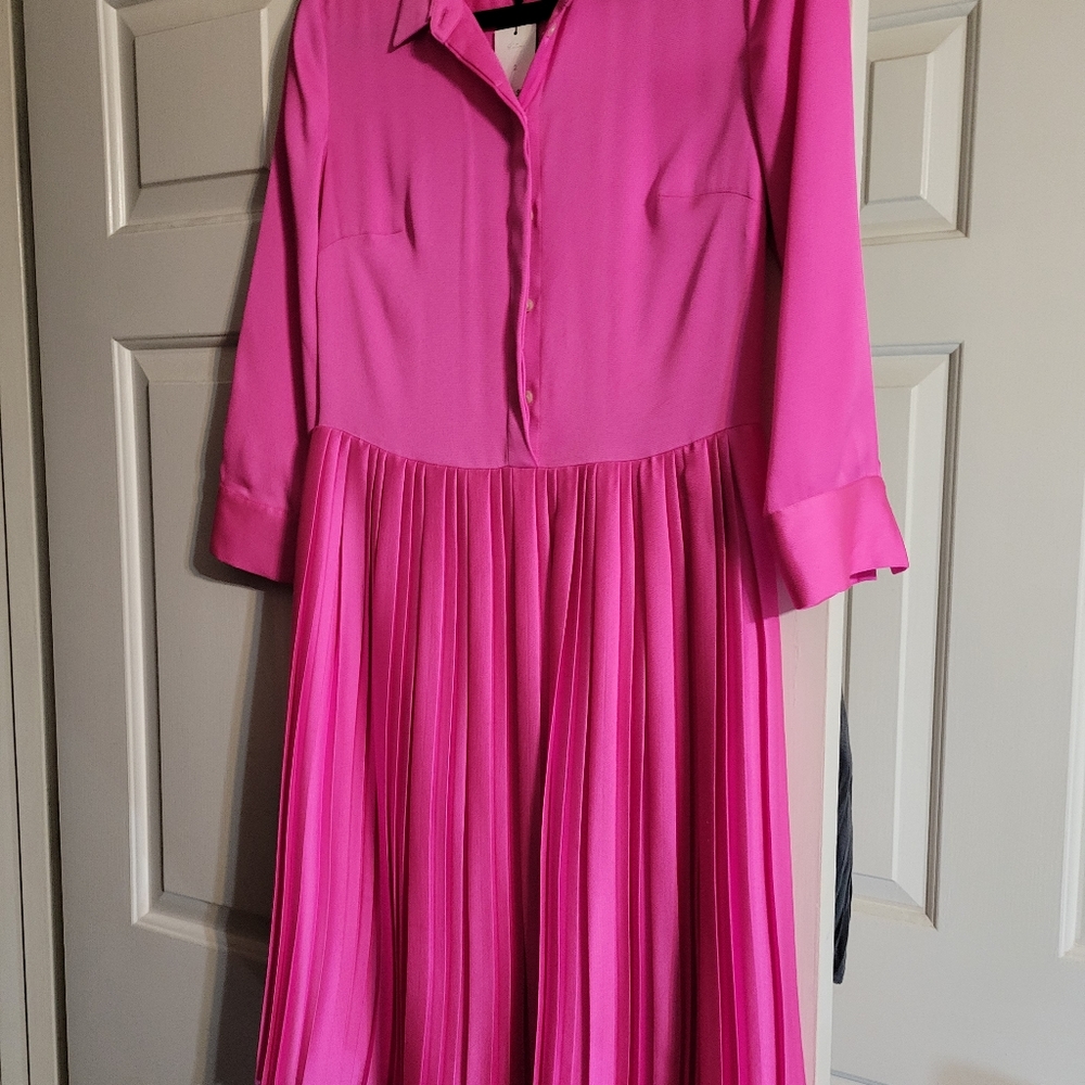 Pink Banana Republic silk dress with pleats